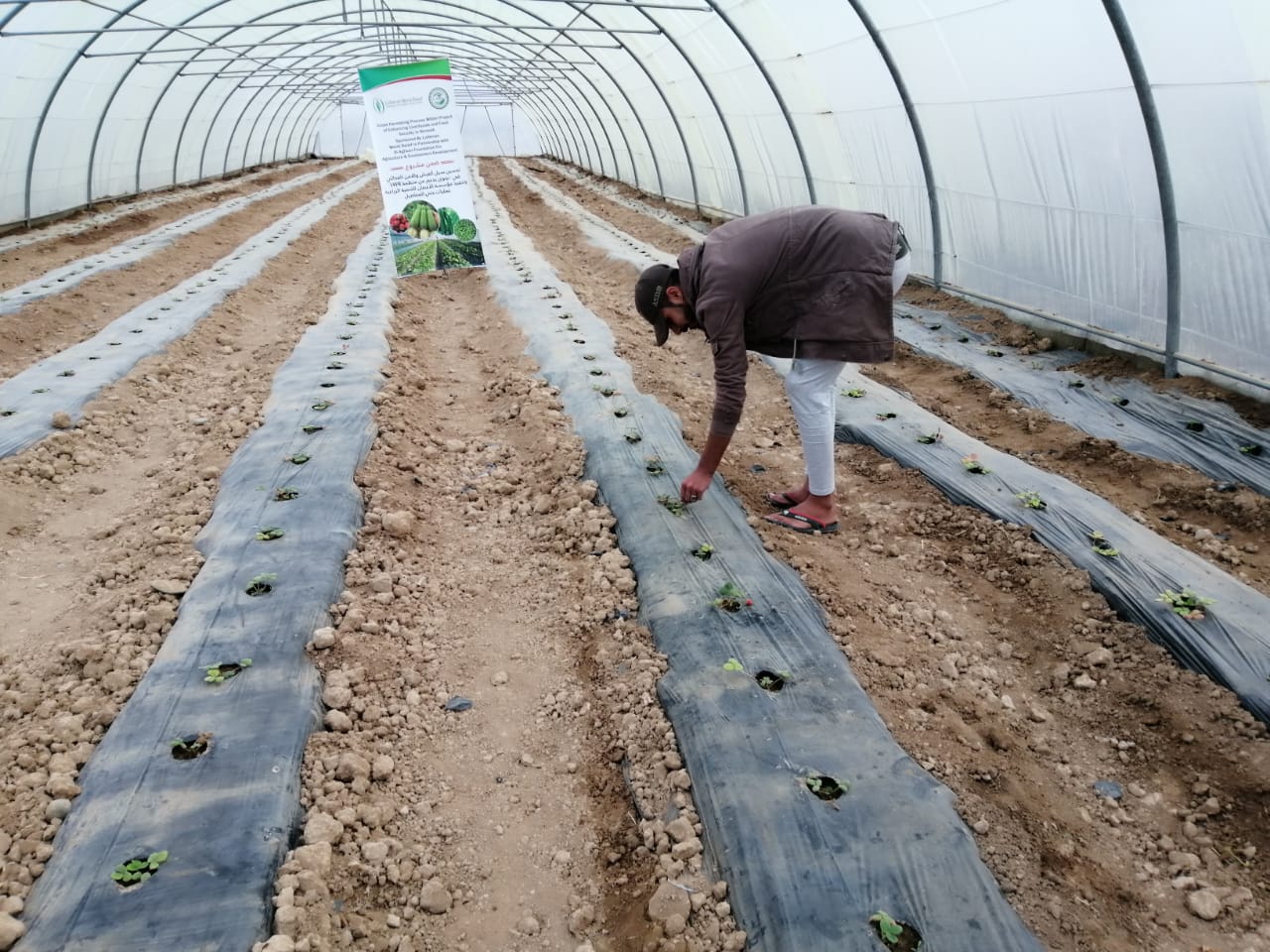 WhatsApp Image 2019 12 08 at 5.27.33 PM