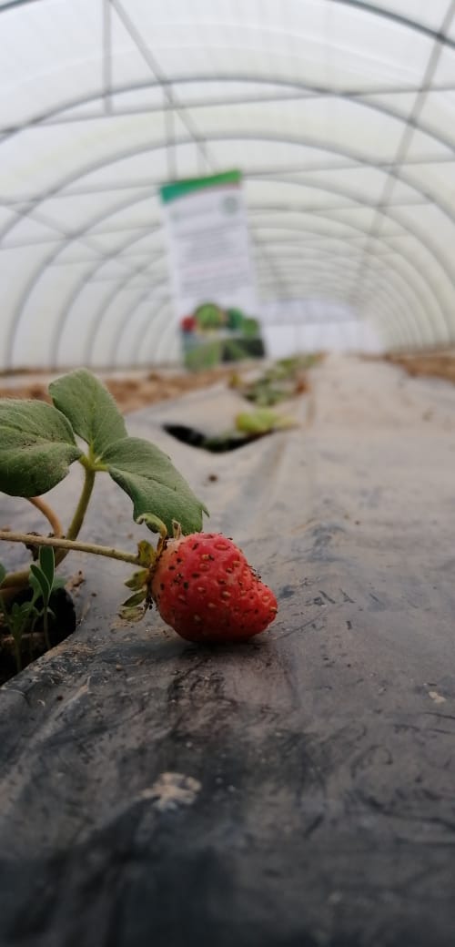 WhatsApp Image 2019 12 08 at 5.27.37 PM