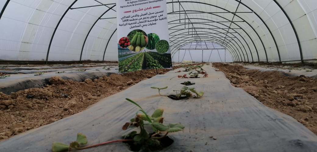 WhatsApp Image 2019 12 08 at 5.27.43 PM