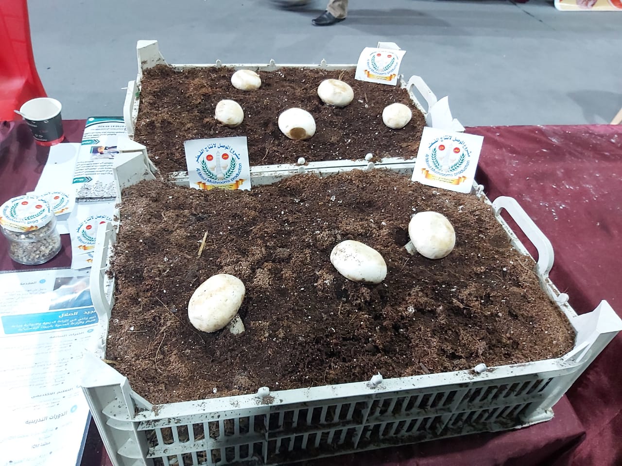 WhatsApp Image 2019 12 13 at 7.54.24 PM 1