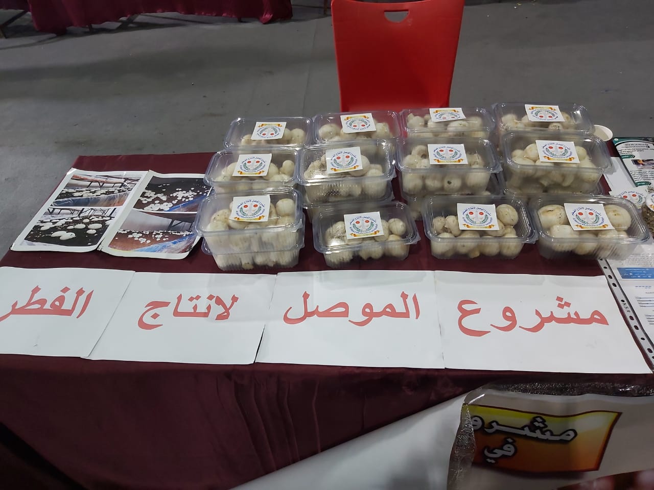 WhatsApp Image 2019 12 13 at 7.54.24 PM 2