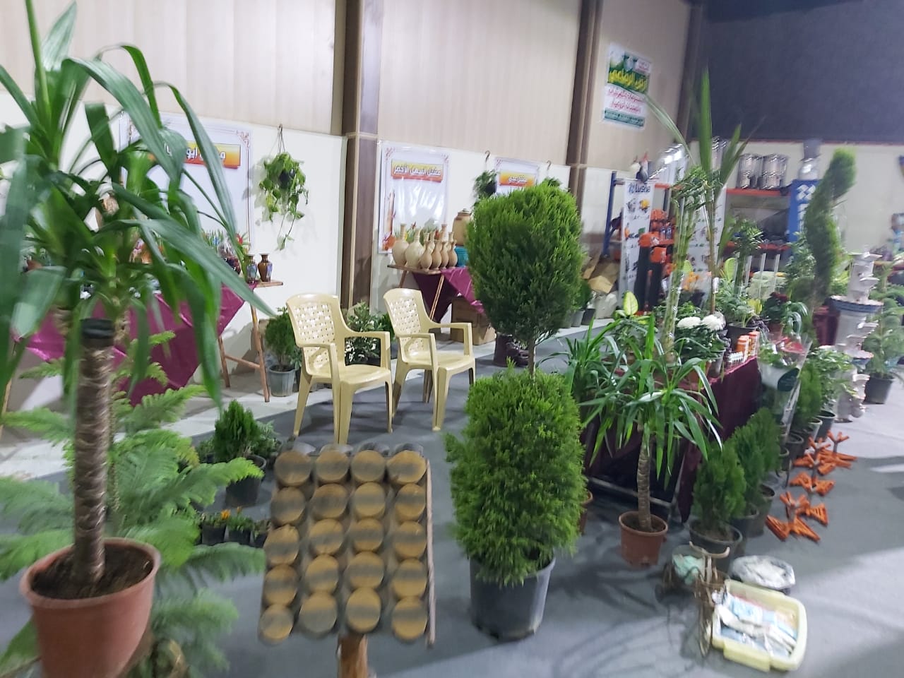 WhatsApp Image 2019 12 13 at 7.54.24 PM 3