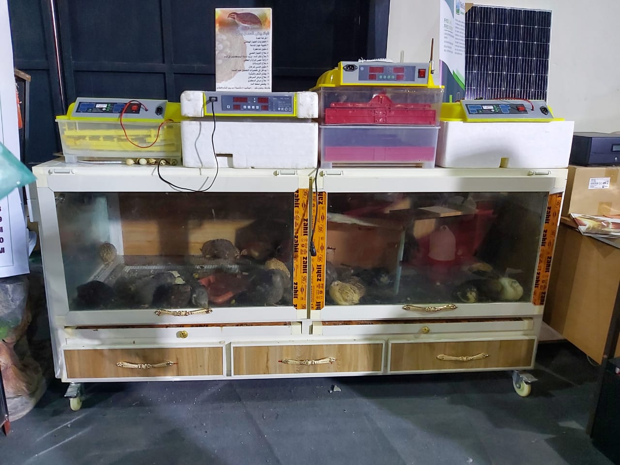 WhatsApp Image 2019 12 13 at 7.54.25 PM 7