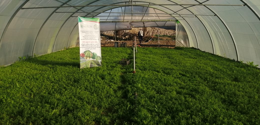 WhatsApp Image 2019 12 19 at 4.37.30 PM