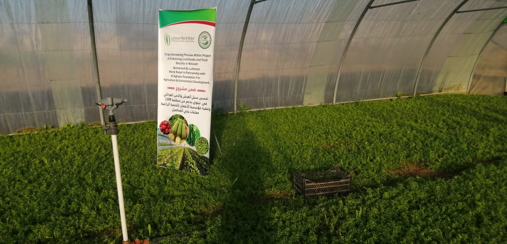 WhatsApp Image 2019 12 19 at 4.37.32 PM