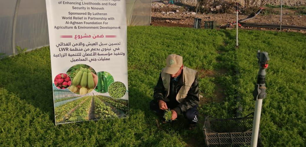 WhatsApp Image 2019 12 19 at 4.37.33 PM