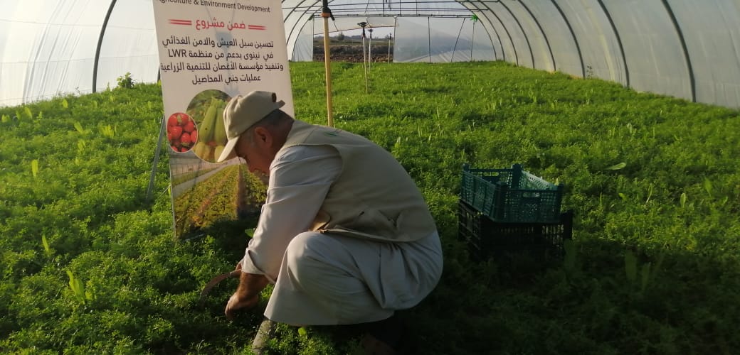 WhatsApp Image 2019 12 26 at 8.54.44 AM 1