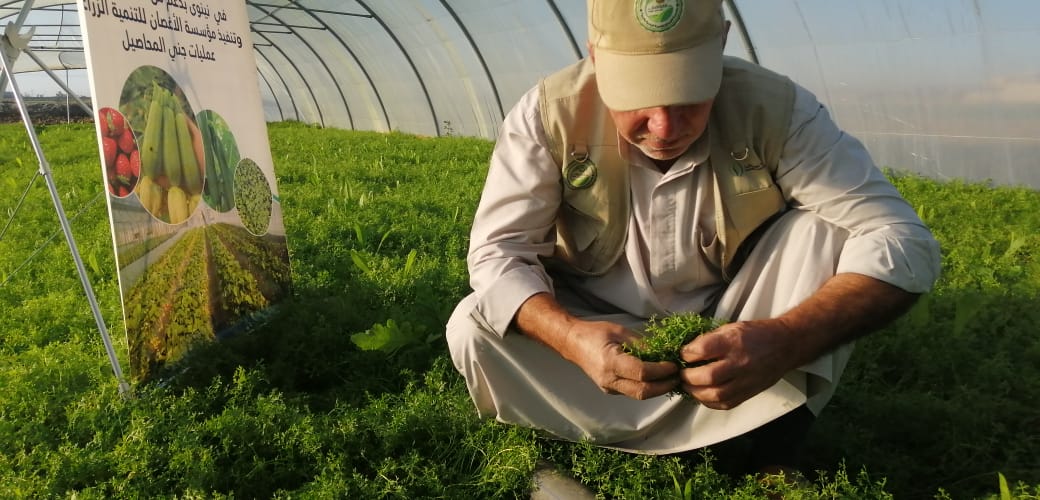 WhatsApp Image 2019 12 26 at 8.54.45 AM