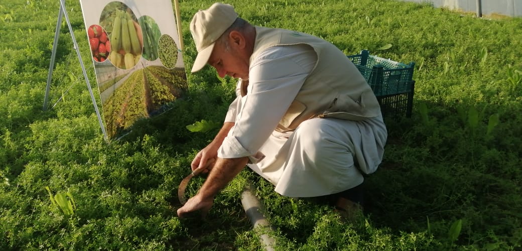 WhatsApp Image 2019 12 26 at 8.55.52 AM 1