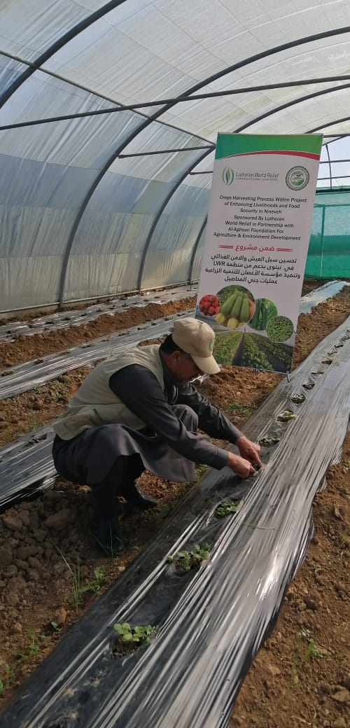 WhatsApp Image 2019 12 31 at 10.14.06 AM