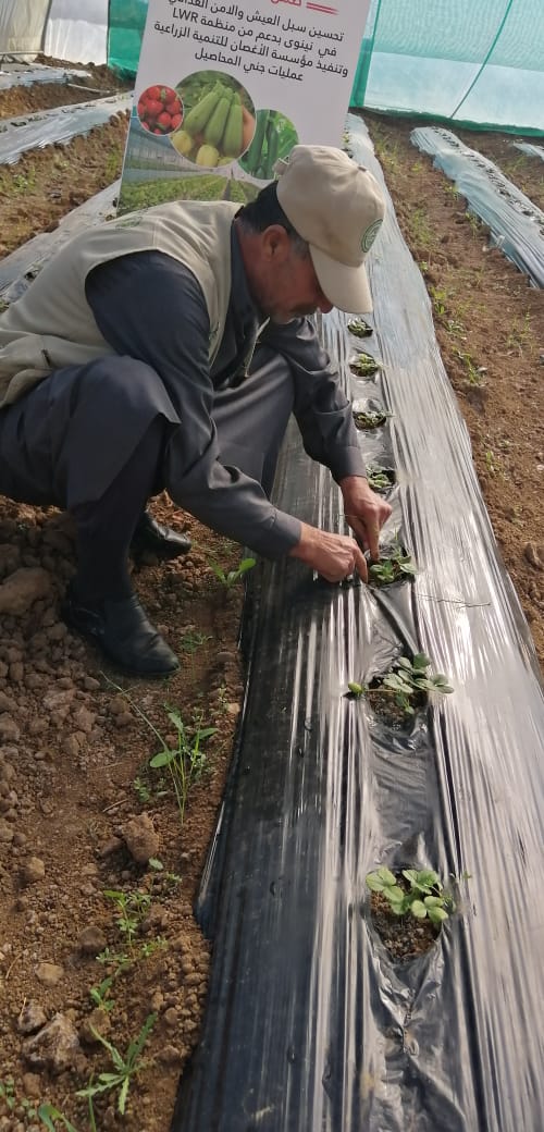 WhatsApp Image 2019 12 31 at 10.14.40 AM