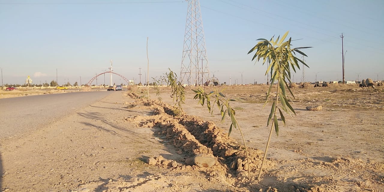 WhatsApp Image 2020 01 06 at 8.49.58 PM